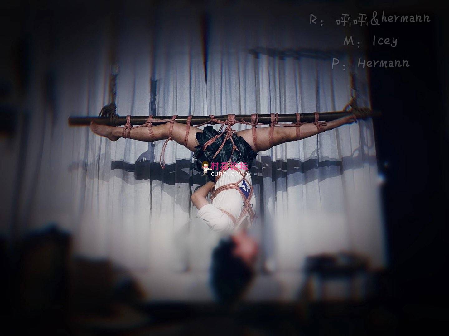 Twitter高质量合集-SM类[6490P 4.07GB][百度网盘]-福利岛