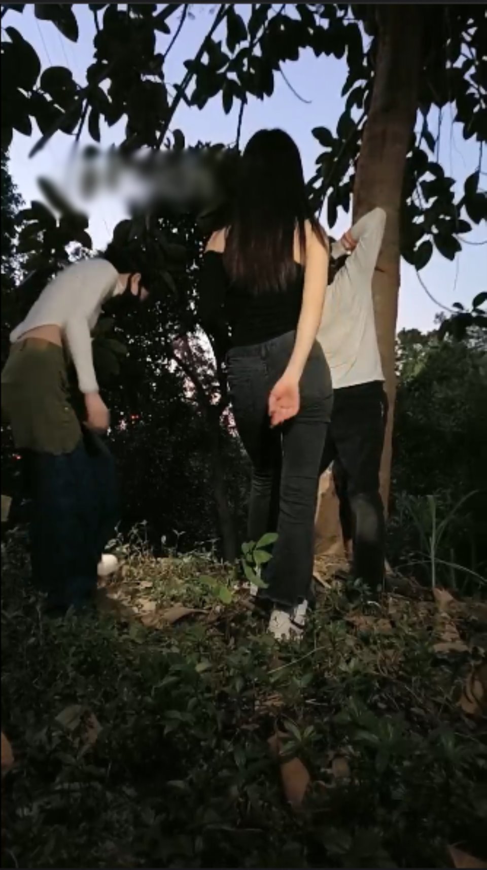 套路直播暴力美学S-双S-女神户外遛狗-绑树上酷刑惩治【1V】【465MB百度云】-福利岛