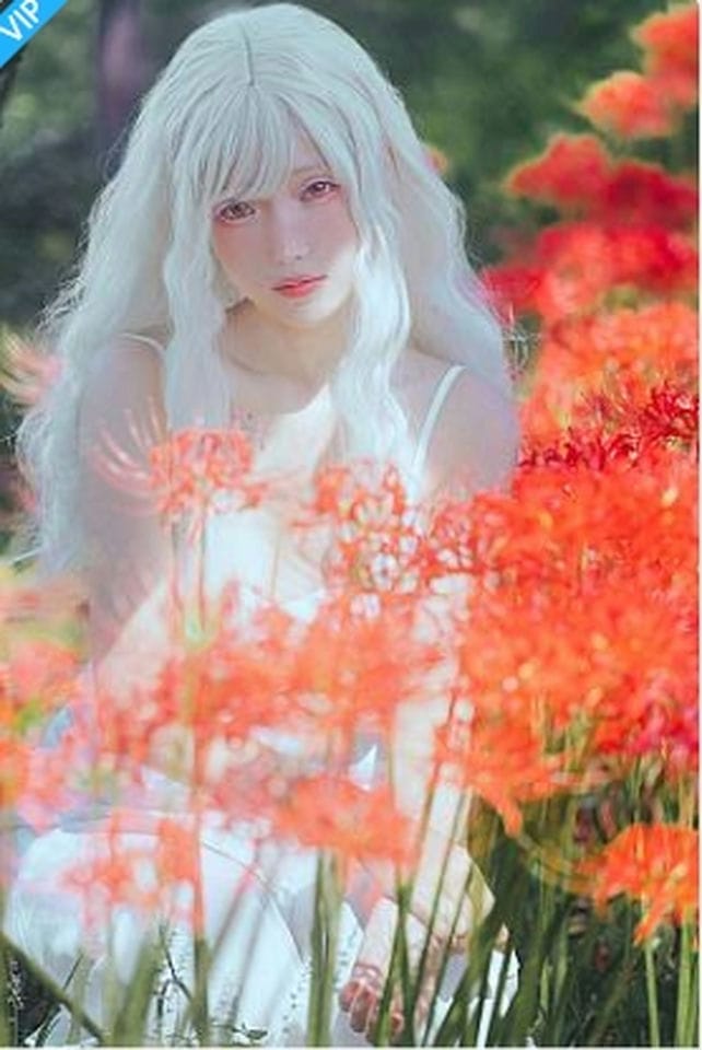 Ely_eee(ElyEE子) – White spider lily 白瓷彼岸-福利岛