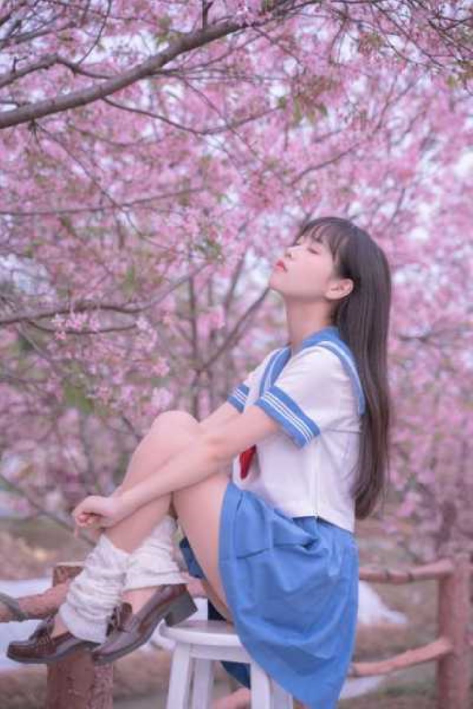 [女大学生] [全部套图] 萌芽儿o0 – 樱花jk 31P-426M 【百度云】-福利岛