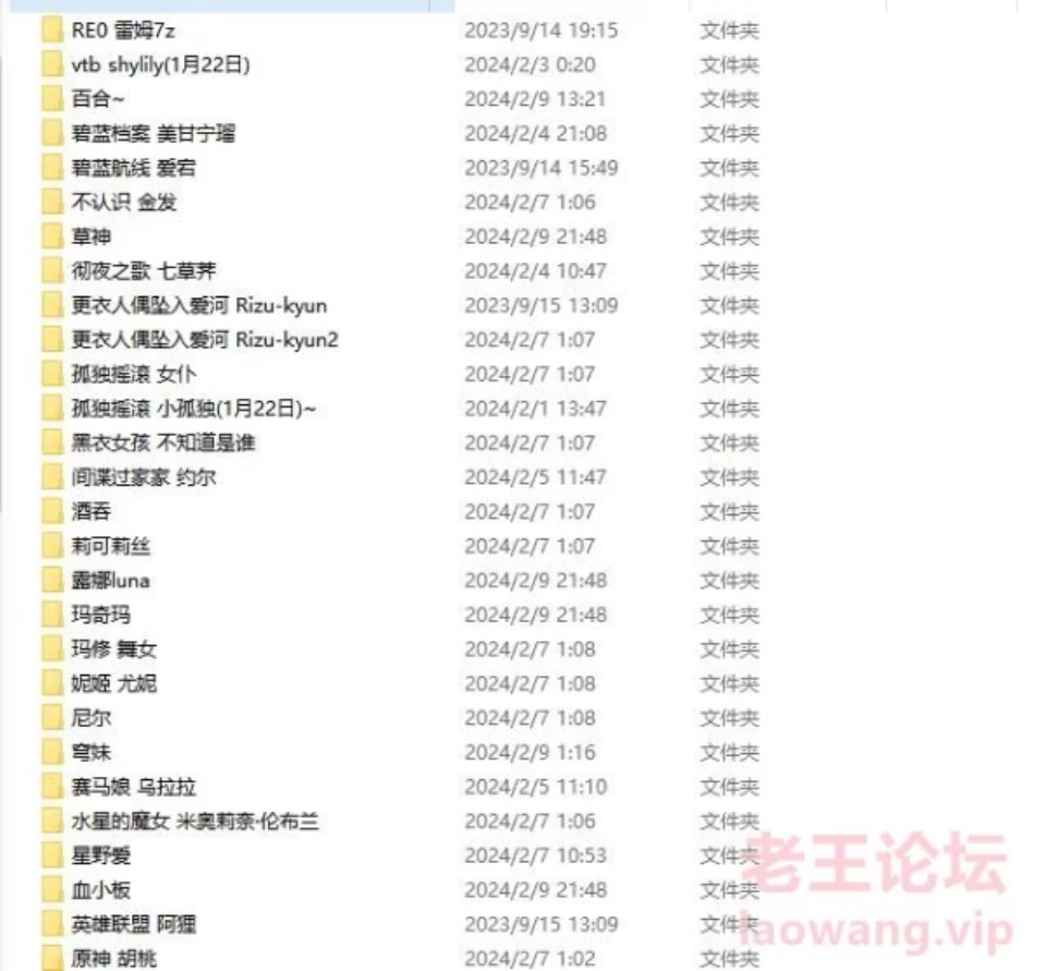 [Cosplay] [自行打包] shinen大合集240g整理压制版 [nv+20g][百度盘]-福利岛