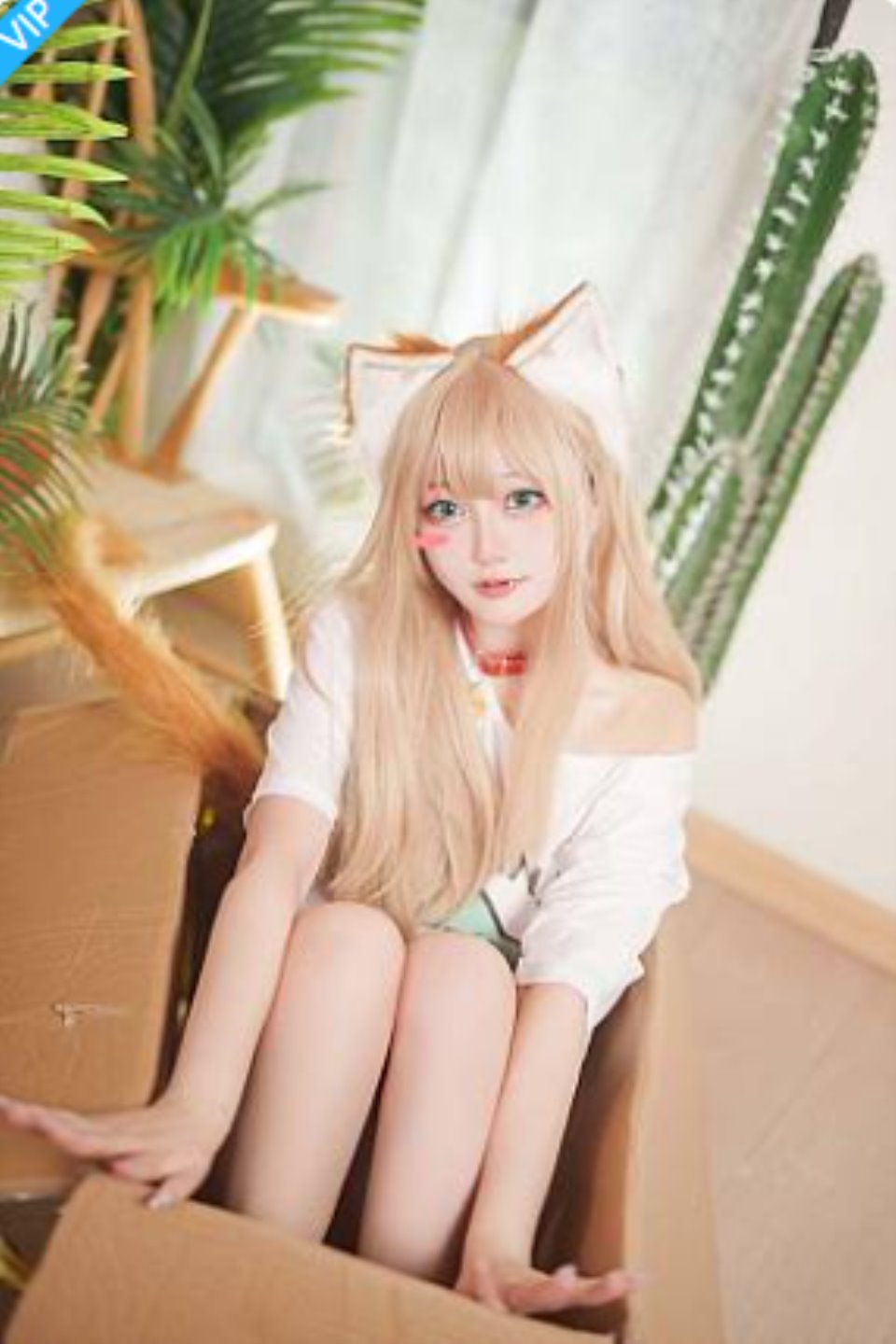 Halo_酱 – 黄豆粉-福利岛