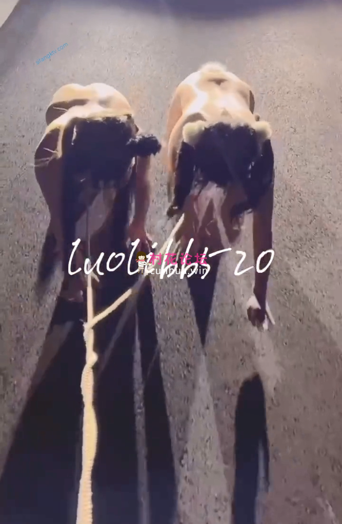 双飞两个极品小萝莉【40v354M】【百度云】-福利岛