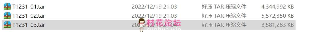 【自行打包】美术学院的骚货，吴X晶合集【nv 12.9G】【百度云】-福利岛