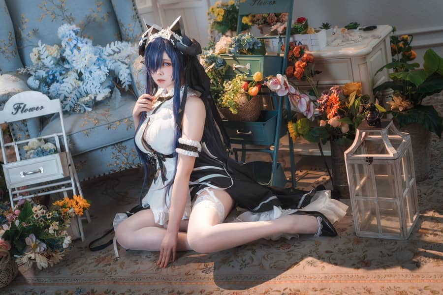 渊秧 – 奥古斯特女仆 [16P231M]-福利岛