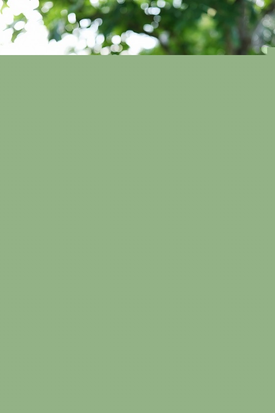 [XIUREN秀人网]
VOL.514 王馨瑶yanni[76+1P／799MB]-福利吧