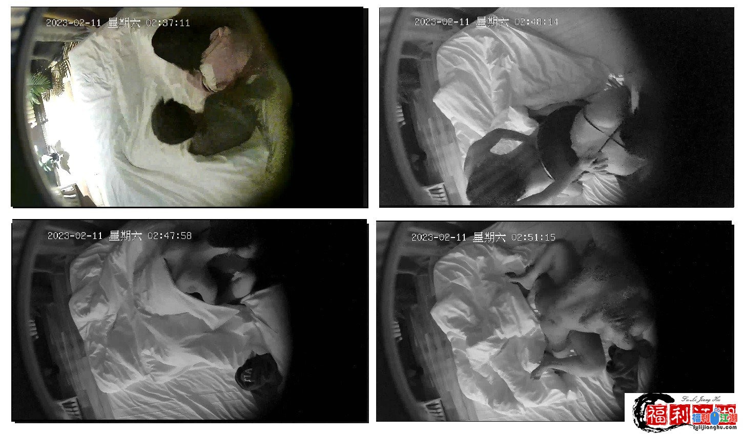 [360]
[资源详情]
【安防酒店摄像头】大学生放假就是珍惜时间开房打炮【2.1G】-福利吧