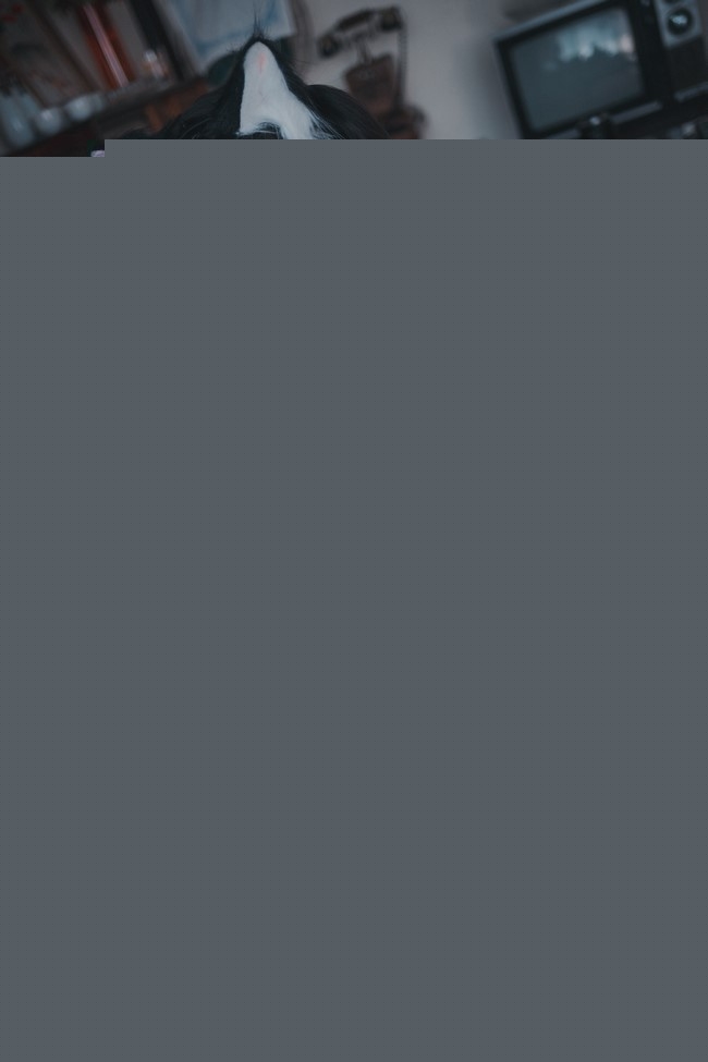 [韩国Bambi] Bambi__ NO.073 [DJAWA] & Sonson – Maid Mansion W [153P-1.14GB]-福利吧