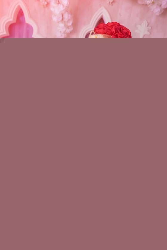 [ElyEE子] ElyEE子 – NO.65 尼禄-红玫瑰 [12P/62M]-福利吧