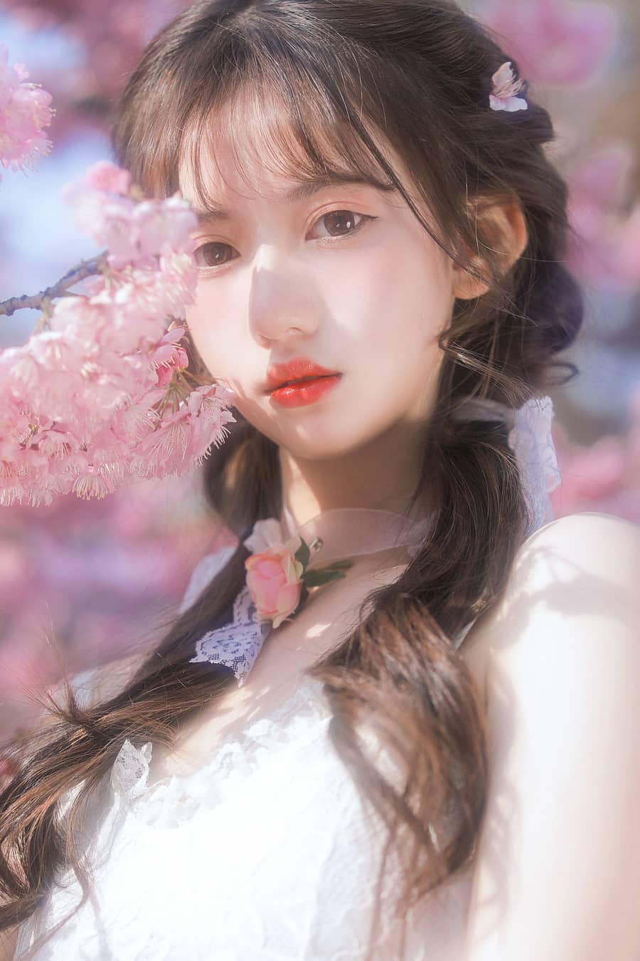 怡子yiii – 樱花限定 [20P154M]-福利岛