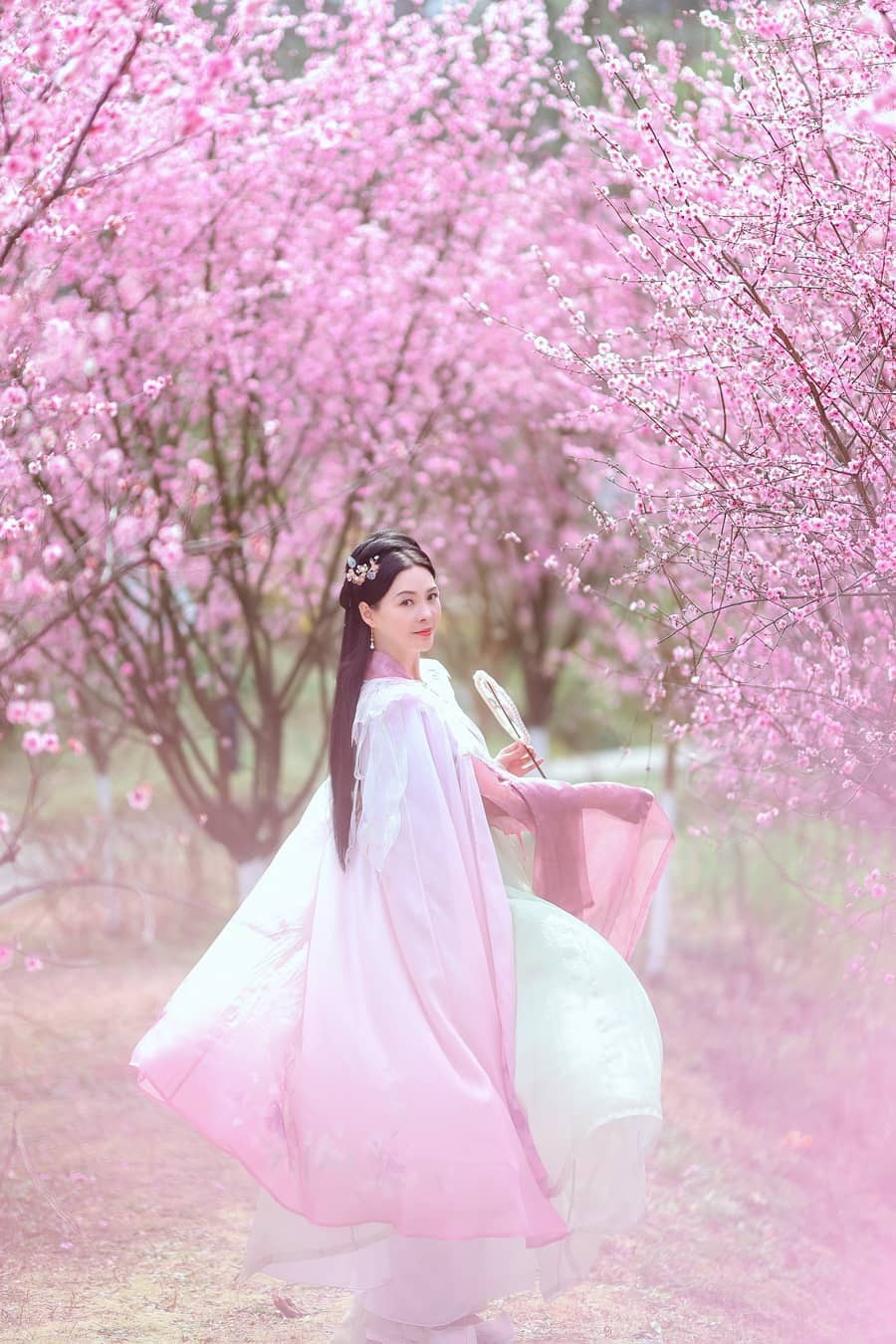 莲 - 暧春樱色 [37P455M]